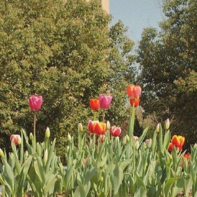 m6米乐官方网站登录入口APP下载