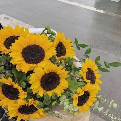 电玩城金鲨银鲨app下载