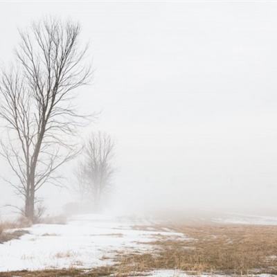捕鱼达人2 1.3.6安卓版下载截图